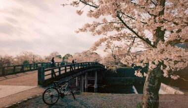 Nakanoshima Bridge・中之島橋