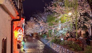 Kyoto in the rain in early April