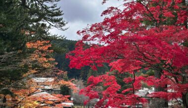 My trip to Koyasan…a reminder that while the world changes, some things remain timeless!