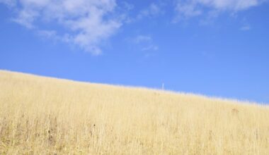 Venus Line, Nagano (2016/03/20)