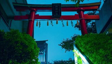 Few favourite flicks from my trip over Japan