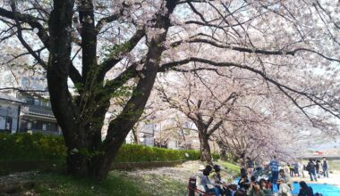 Kamo River, Kyoto, 2018