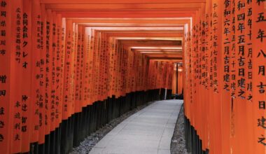 Kid’s dream came true