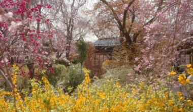Gardens of Kyoto: Haradani-en