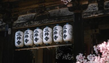 Cherry blossom pics I've taken over the years Pt.3