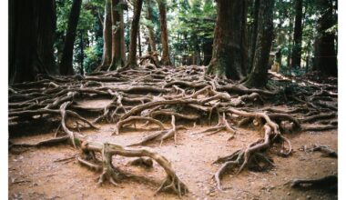 Kuramadera | October 2025