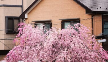 Cute house in Shiogama