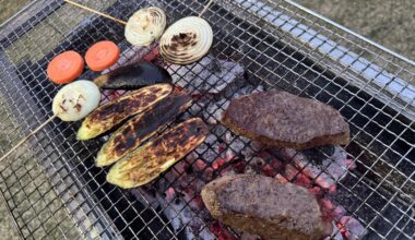 Japanese small happy barbecue. What food do you like grill outside?