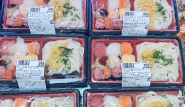 Sushi & Udon Lunch Box from Chiba, Japan