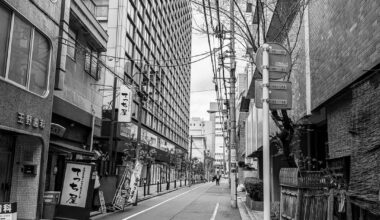 Ueno and Senso-ji