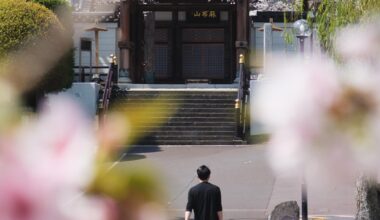 Blossom and prayers - Tokyo