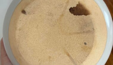 Is this mold on my donabe?