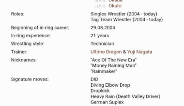 Do anyone know whats the "DID" (signature move) Okada uses