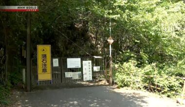 Bear attack among suspected causes after body found in Tokyo mountain area