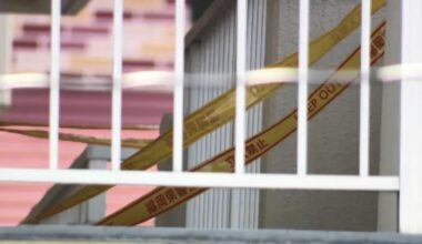 Tokyo woman suspected of strangling daughter before suicide attempt
