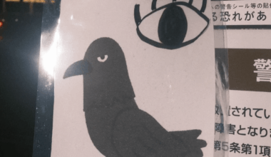 What does this image mean?