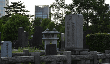 Walked the quiet Aoyama Cemetery on a weekday evening