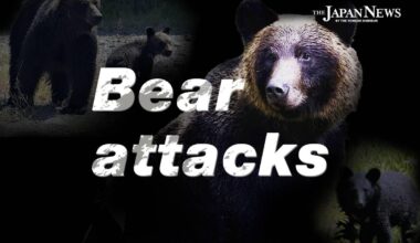 Russian Man in His 30s Seriously Injured in Bear Attack in Tokyo’s Okutama