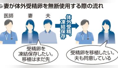 Kanto man seeks divorce, sues wife after she has in vitro child without his consent