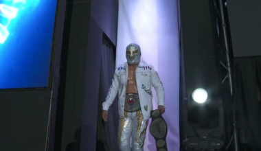 IWGP Jr Tag Champion representing the BTS army