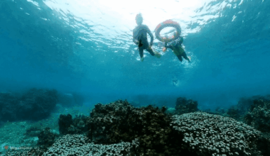 🌧️🐠 Snorkeling on a rainy day in Miyakojima 🏝️