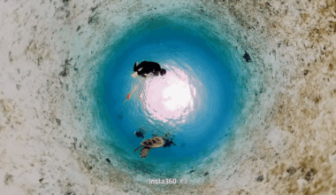 If you use an Insta360 underwater, be careful with the dive case