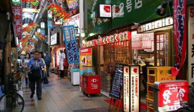 First International Trip - 10 Days in Osaka, Kyoto, Tokyo - November 2026 / Itinerary Help