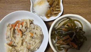 Little sad day, I made grandma style Japanese rice. You eat rice only? or with many things?