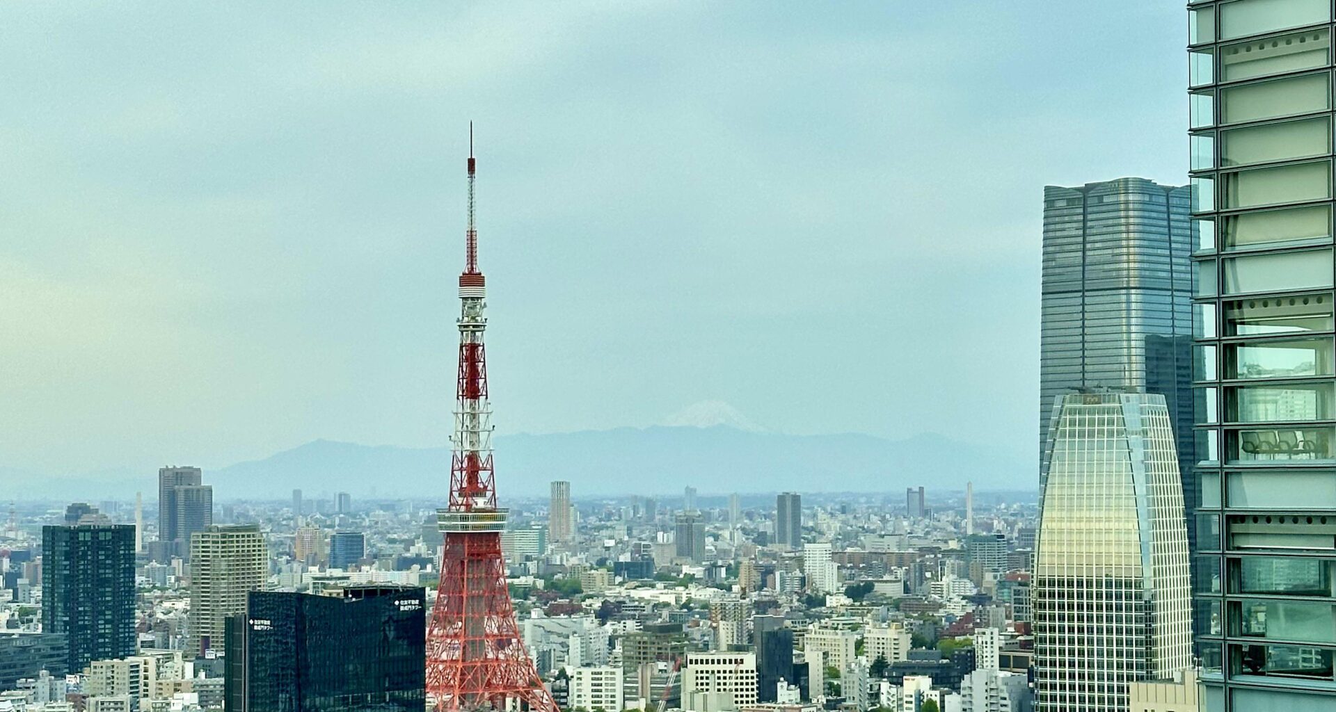 Tokyo Hotel View