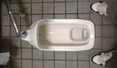 Lucky I don't need to do a no.2. Countryside toilet.