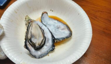 All you can eat boiled oysters @ Kaikeonsen