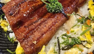 grilled unagi