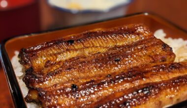 Unaju (Grilled Eel over Rice)