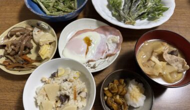 Yamagata sansai spring jpapanese home meal. Do you like sansai?