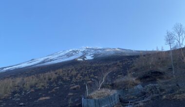 This year, the snow is melting earlier than usual.
