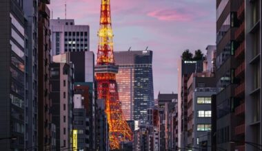 Cotton candy skies over the Iron Eiffel of Tokyo.