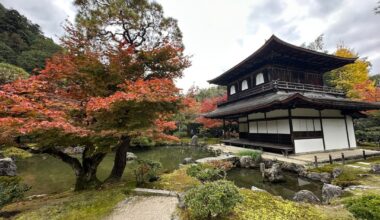 Still thinking about this quiet autumn moment at Ginkaku-ji, Kyoto 🍁🍂