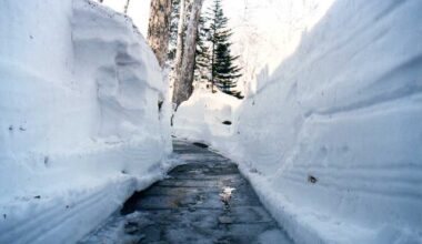 Kurodake, Hokkaido. May. The ski season has just finished. My picks.
