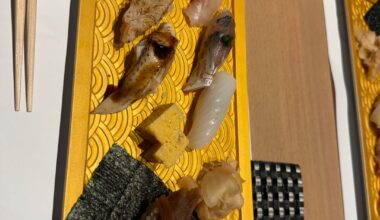 Sushi from my Japan trip