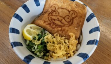 Udon noodles