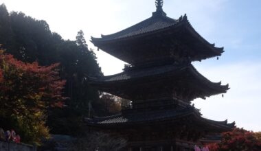 Tsubosaka-dera 壷阪寺