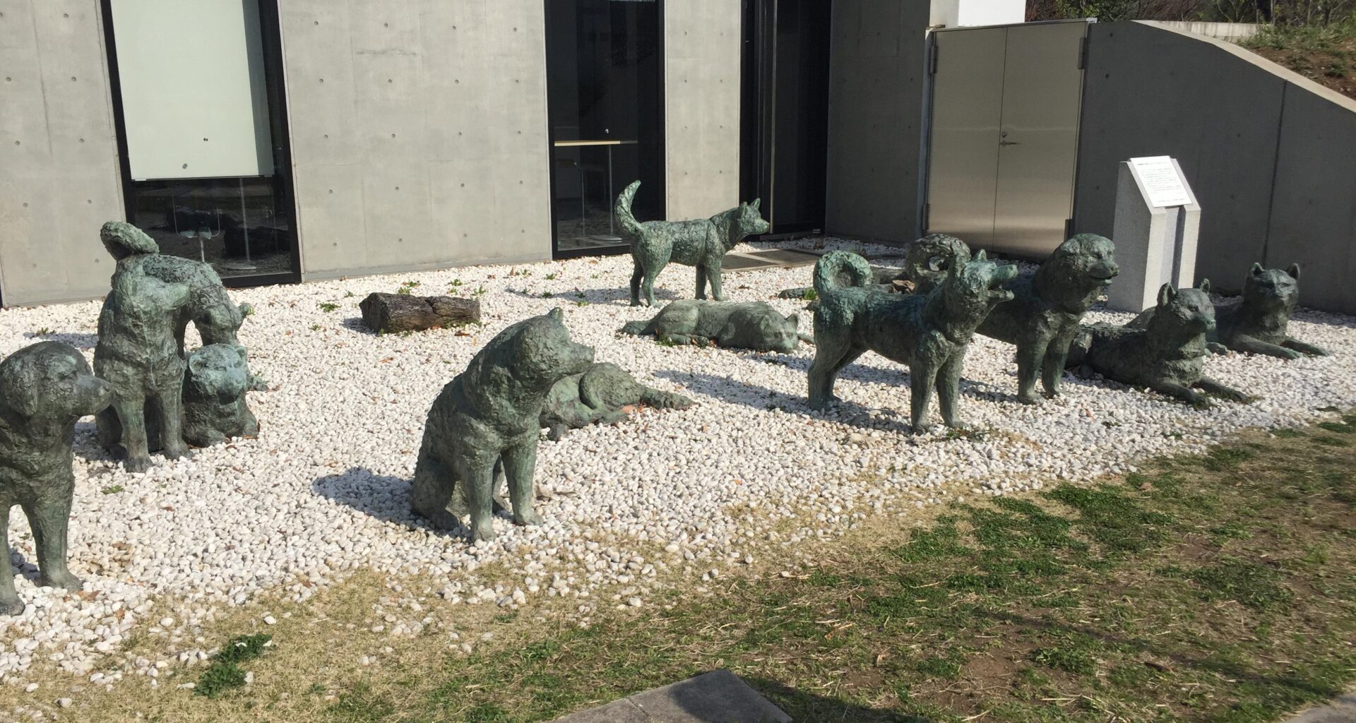 Bronze Dog