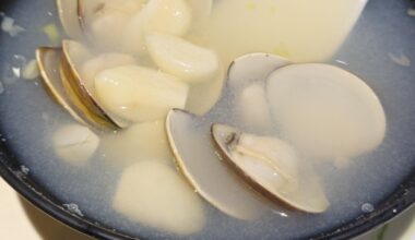 Garlic Soup Question