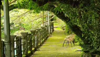 A few random pics from our recent trip to Japan