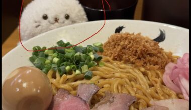 Lost: Seal Plushie (Sirotan)