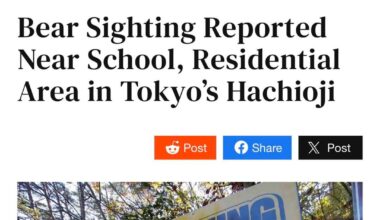 Bear spotted in a residential area of Tokyo.