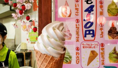 Wasabi Mixed Soft Cream 🍦